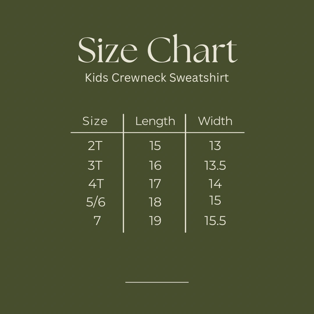 Toddler and Youth Embroidered Flamingo Sweatshirt: Trendy Beach Pullover